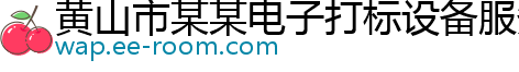 黄山市某某电子打标设备服务中心